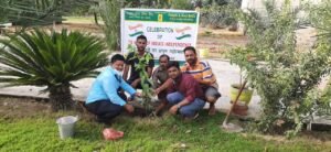 Lead Bank Plantation Pic
